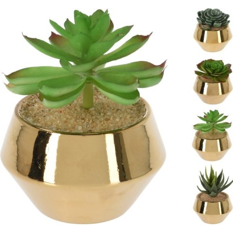 VASETTO CON PIANTA GRASSA 13X1